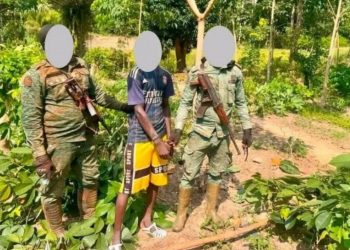 Soubré: deux personnes interpellées en plein déboisement illégal