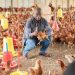 Gabon : le poulet importé bientôt interdit, les États-Unis réagissent 8 Gabon : le poulet importé bientôt interdit, les États-Unis réagissent
