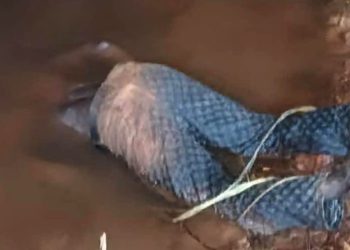 Côte d’Ivoire : un jeune homme meurt après une fuite lors d’un contrôle à Guiglo 2 Côte d’Ivoire : un jeune homme meurt après une fuite lors d’un contrôle à Guiglo